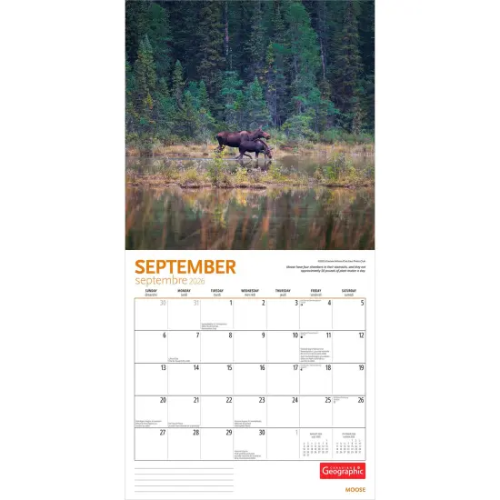 Canadian Geographic Moose OFFICIAL | 2026 12 x 24 Inch (Hanging) Monthly Square Wall Calendar {4}