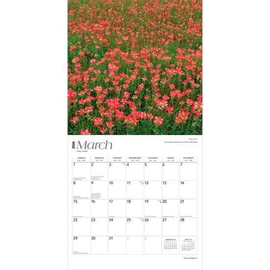Texas Nature | 2026 12 x 24 Inch (Hanging) Monthly Square Wall Calendar | Plastic-Free {3}