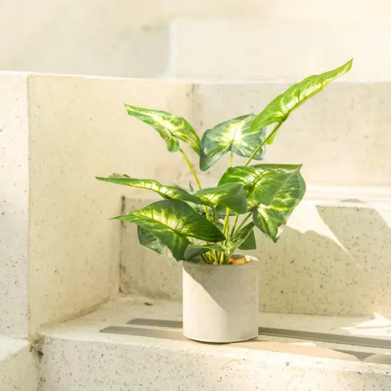 1Pc Faux Plant Indoor in Plant Pot 1 {3}