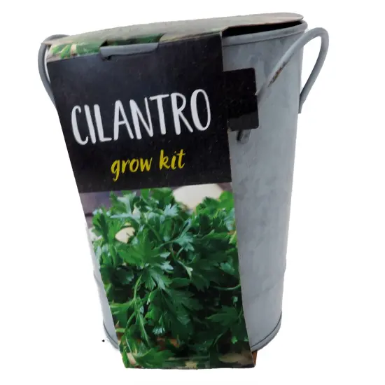 Cilantro Grow Kit - Metal Planter {4}