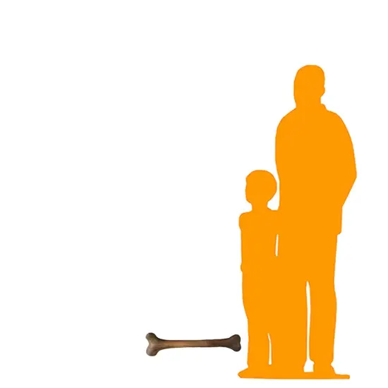 Small Dinosaur Bone Life Size Statue {2}