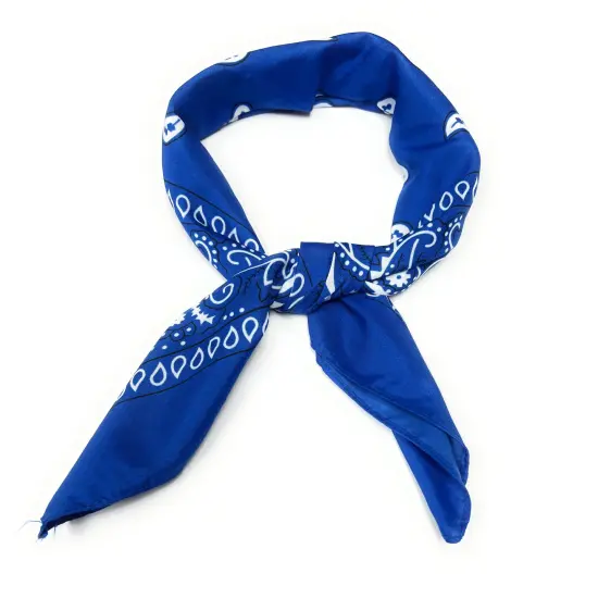 Set of 6 Paisley Neck Hair Scarf for Women Square Chiffon Accessory {1}