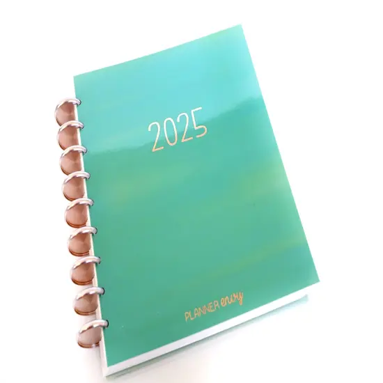 2025 Planner - Vertical Layout, Disc Bound - "Teal Strokes" (#902) {2}