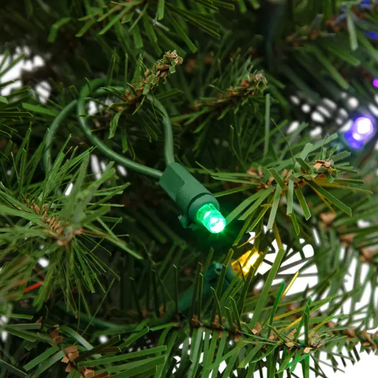 Northlight Pre-Lit Northern Pine Artificial Christmas Wreath - 24" - Multicolor LED Lights Green {6}