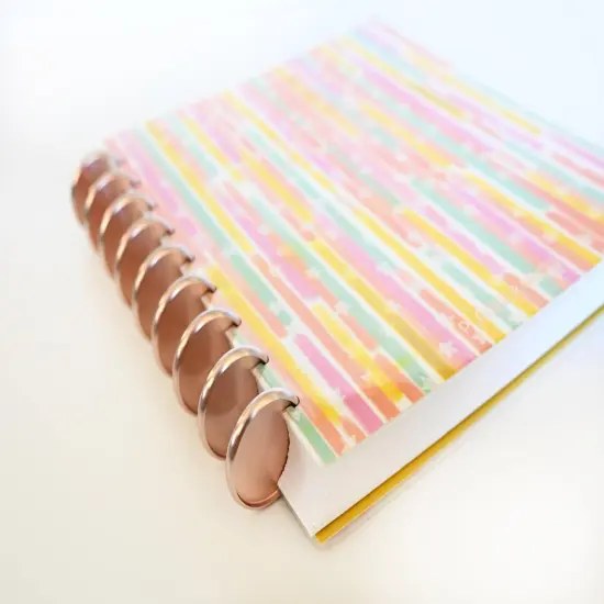 2025 Planner - Mini Horizontal Layout, Disc Bound - "Stars & Stripes" (#1010) {5}