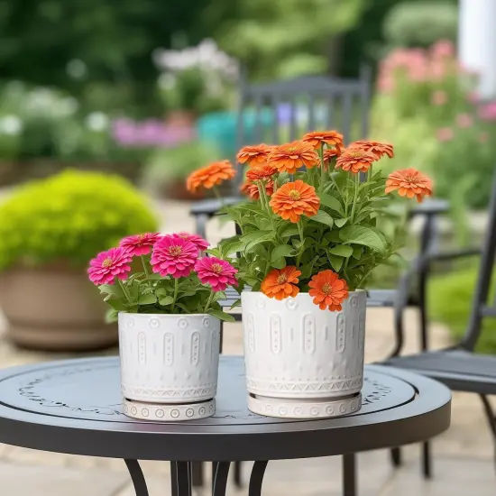 6 Inch Ceramic Planter with Drainage Holes and Saucer (White) {5}