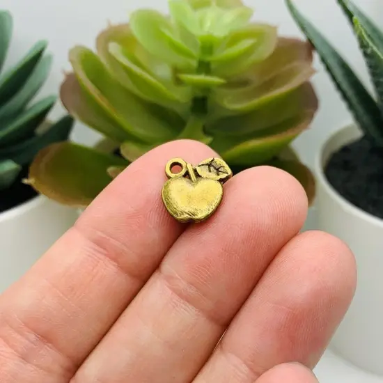 Bronze Apple Teacher Charms, 10x10mm {2}