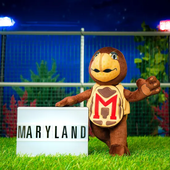 Bleacher Creatures Maryland Terrapins Testudo 10" Mascot Plush Figure {2}