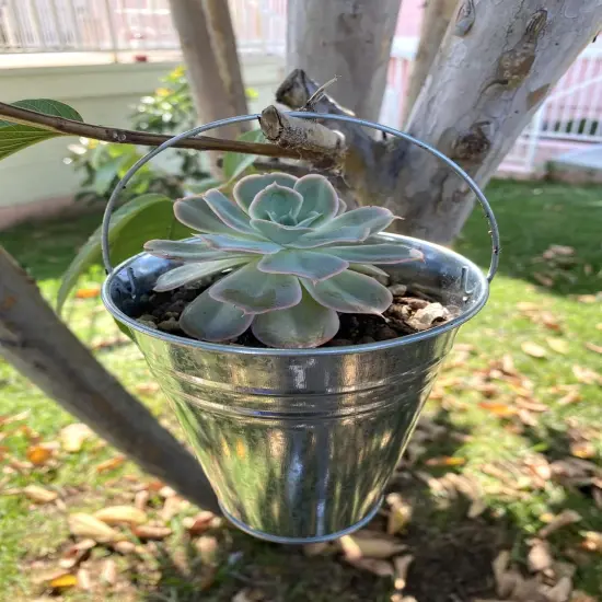 12 Metal Buckets Galvanized Pail {4}