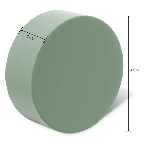 FloraCraft Desert DryFM Disc 2/Pkg-1.6"X4.3" {4}