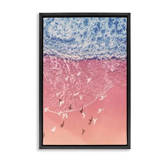 Stupell Industries Aerial Seagulls over Beach Framed Floater Canvas Wall Art Design by Nataly White {1}