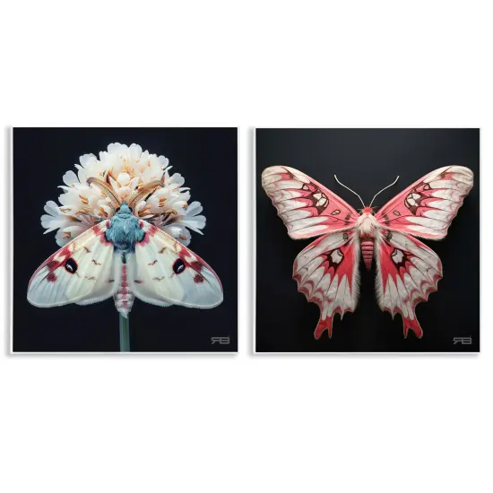Stupell Industries Detailed Pink Moths Flower 2 pc Wall Plaque Art Set Design by Roozbeh Bahramali {1}