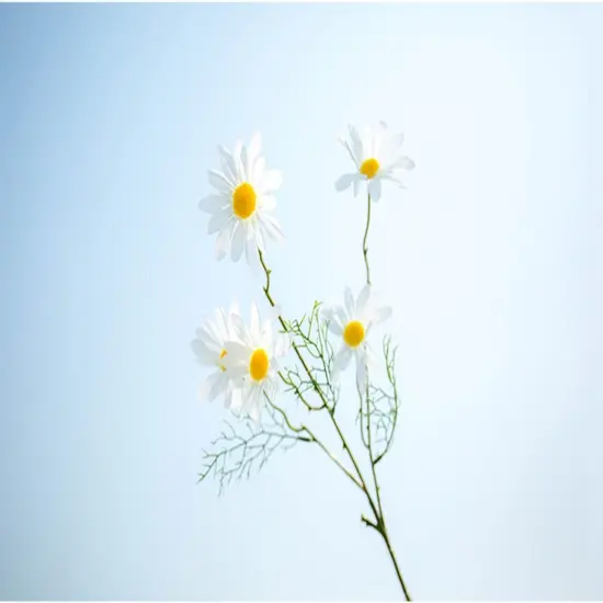 10pcs Artificial Daisy Flowers Flower Arrangements for Home Hotel Office Wedding Party Garden Craft Art Decor Each Approx 21" High No Vase White {3}