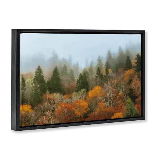 Stupell Industries Autumn Mountain Overview Floating Frame, design by D. Burt {3}