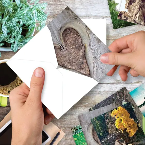 10 Blank Heart Note Cards Boxed (4 x 5.12 Inch) {5}