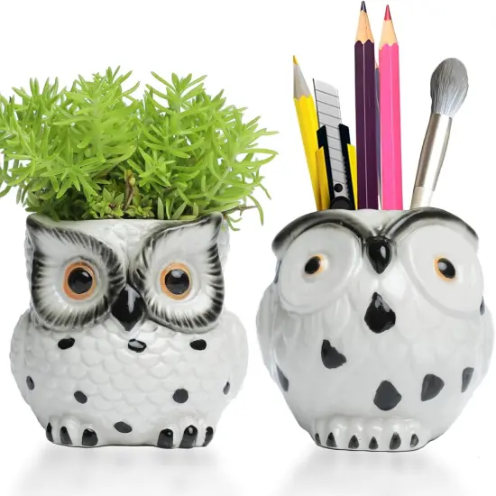 Owl Ceramic Planters With Drainage {1}