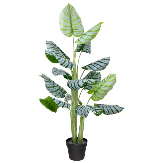 Northlight Potted Two Tone Green Calathea Artificial Floor Plant - 4' {3}