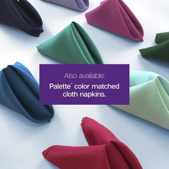 Baby Blue TableCloth {5}