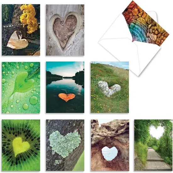 10 Blank Heart Note Cards Boxed (4 x 5.12 Inch) {1}