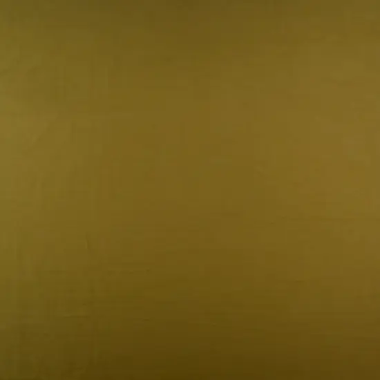 1 Yard Solid DTY Brushed Knit Fabric, 58/60&Prime; Wide Polyester Spandex Blend GREEN MOSS {1}