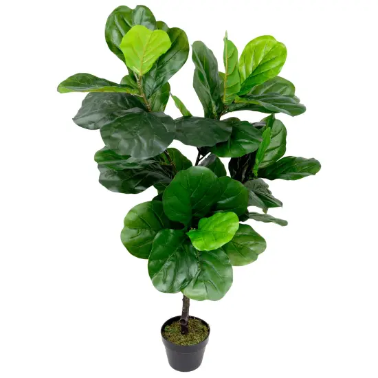 Northlight Potted Two Tone Green Artificial Wide Fiddle Leaf Fig Tree - 4' {5}