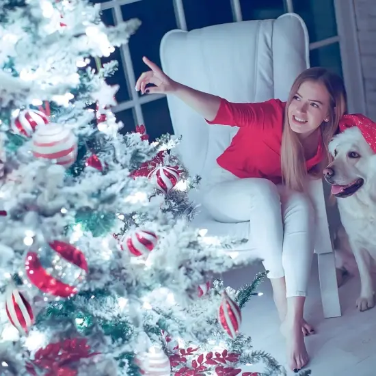 Christmas Lights - 20 Ft 40 LED Snowflake String Lights (Snowflake-White) {3}