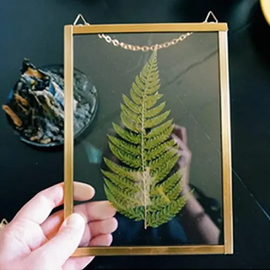 Inkjet Transparency Film Clear 8.5"x11" Sheets Pck Overhead Projector Crafts {9}