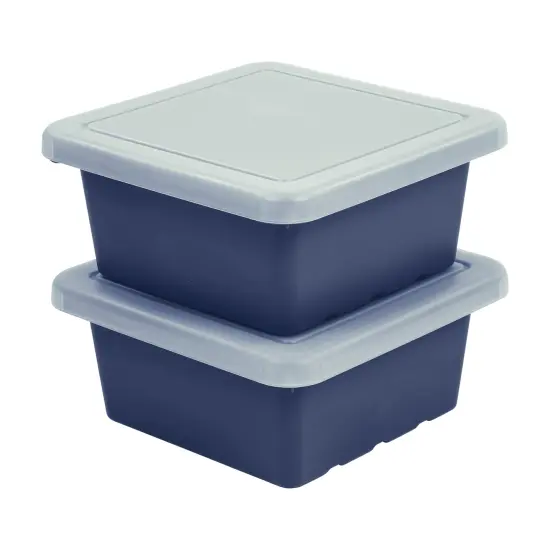Square Bin with Lid, Storage Containers, 2-Pack Navy {1}