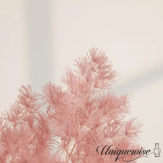 Uniquewise Preserved Real Floral Stems Chic Vase Fillers & Accents for Bouquets Centerpieces & Ornamental Displays Ideal for Home Office Boutique Cafe Resto Bar and Event Decor Lp peng lai song {5}