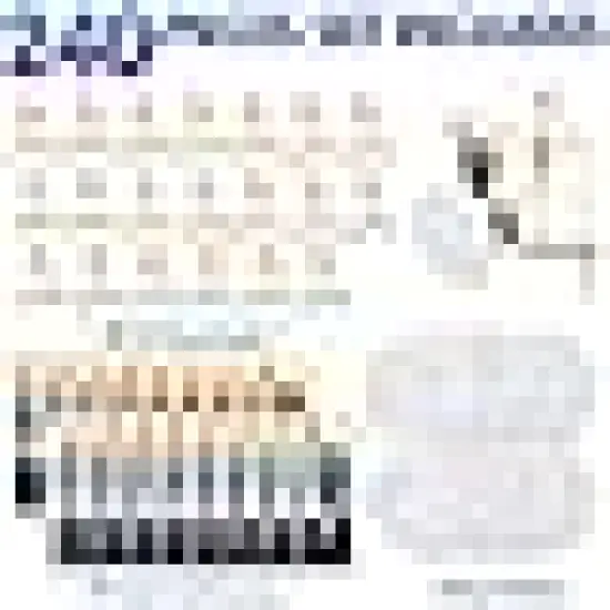 Brushes with Nylon Brush Head and {2}