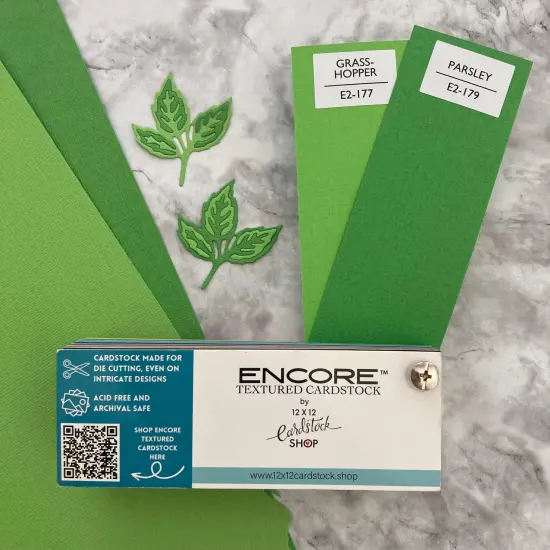 GRASSHOPPER - Textured 12x12 Cardstock - Encore Paper {4}