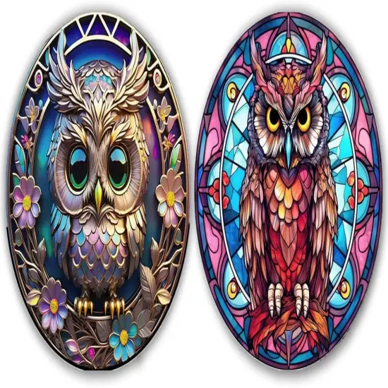 2-Piece Owl Diamond Painting Kits {1}