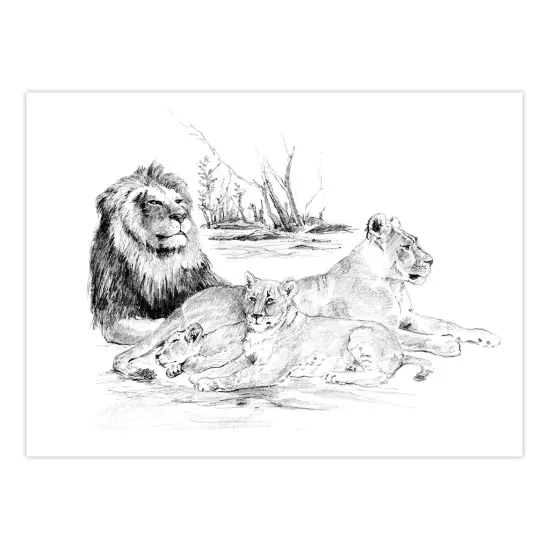 SKBNL6 | Sketching Made Easy&trade; Lion Pride 10pc 11.25" x 15.375" Sketching Art Project {2}