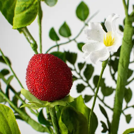 28" Strawberry & Fern Spray {2}