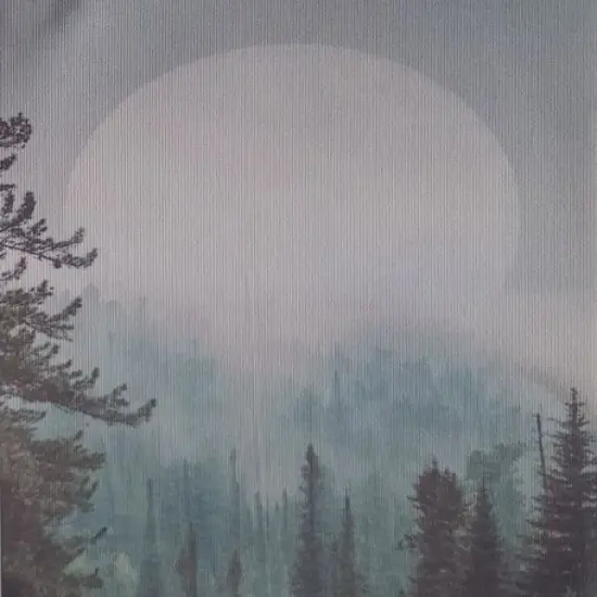 Misty Moonrise Designer Printed AIDA Fabric. Canvas for embroidery with an applied backgroundKF-1105A {1}