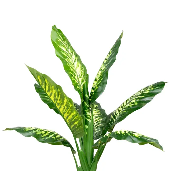 Northlight Artificial Variegated Dieffenbachia Leaf Potted Plant - 36" Green {4}
