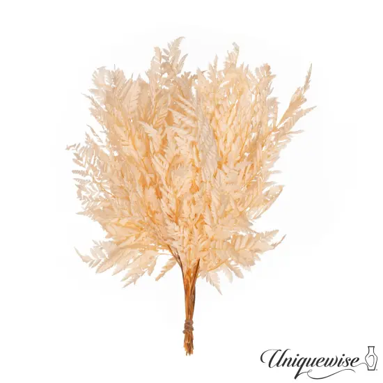 Uniquewise Preserved Real Floral Stems Chic Vase Fillers & Accents for Bouquets Centerpieces & Ornamental Displays Ideal for Home Office Boutique Cafe Resto Bar and Event Decor White alpine fern {9}