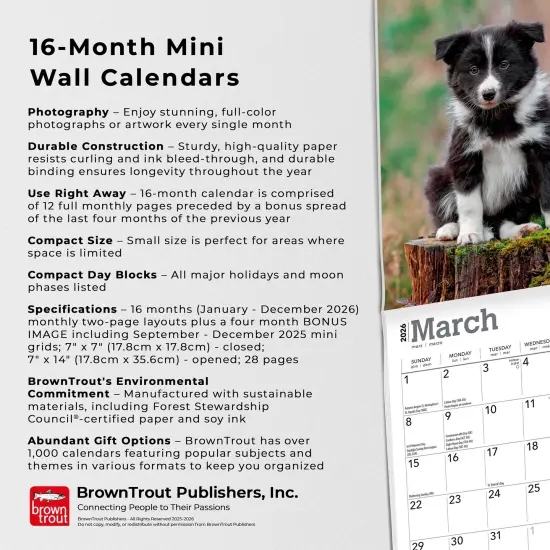 Border Collie Puppies | 2026 7 x 14 Inch (Hanging) Monthly Mini Wall Calendar {6}