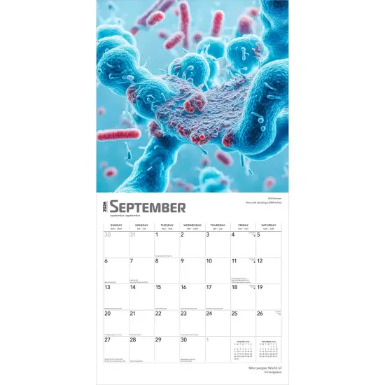 Microscopic World of Innerspace | 2026 12 x 24 Inch (Hanging) Monthly Square Wall Calendar | Plastic-Free {4}