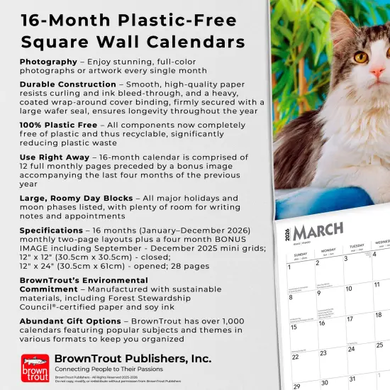 Maine Coon Cats | 2026 12 x 24 Inch (Hanging) Monthly Square Wall Calendar | Plastic-Free {6}