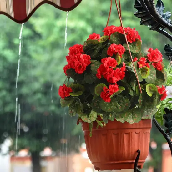 2 Pcs 22'' Artificial Geraniums Topiary Ball {4}