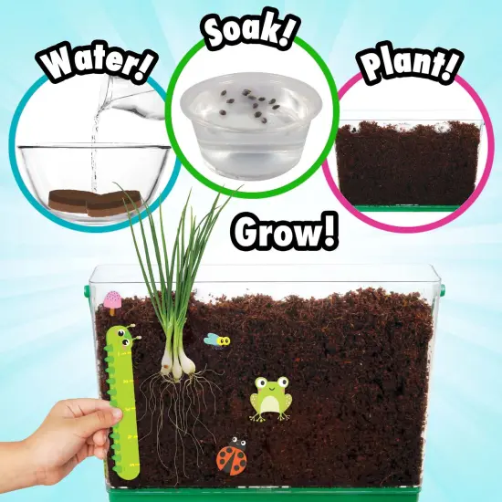 MiracleGro&reg; My First Root Viewer {2}