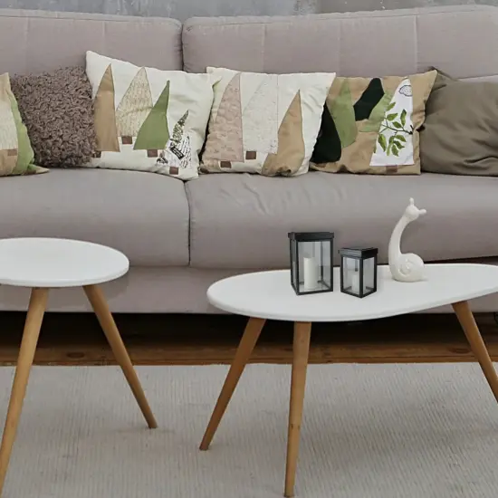 Kaemingk Set of 2 Lidded Black Fir Wood Display Boxes 16.5" {4}