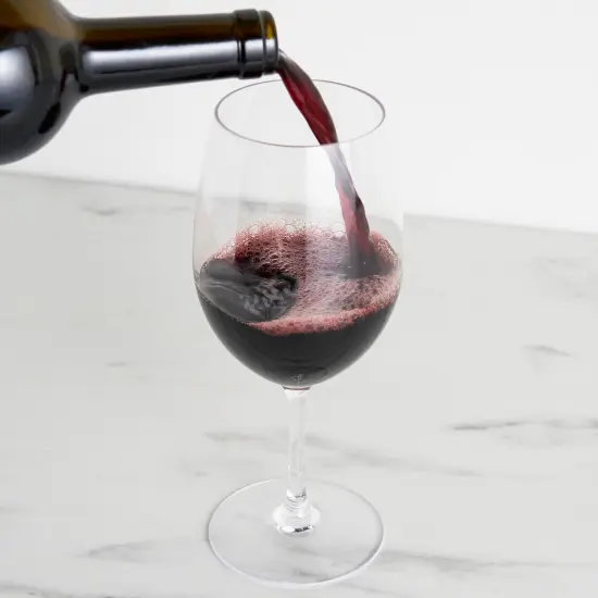 Shatterproof Plastic Wine Glass  {2}