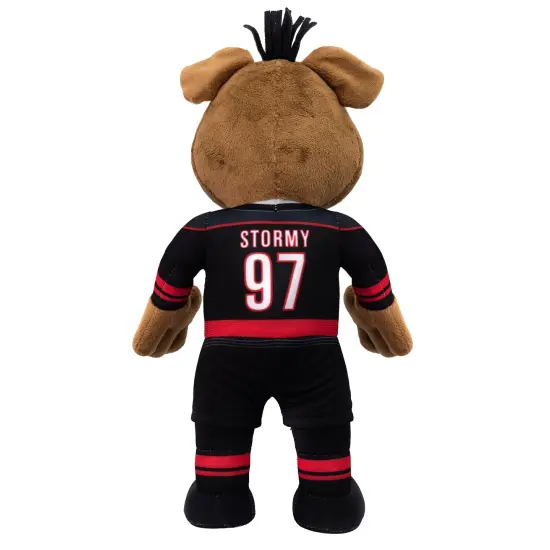 Bleacher Creatures Carolina Hurricanes Stormy Mascot 10" Plush Figure {3}