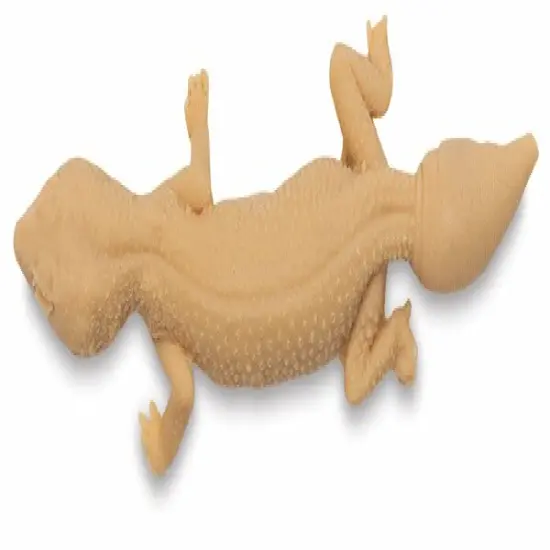 Gyotaku Fish Printing Replica - Gecko {1}