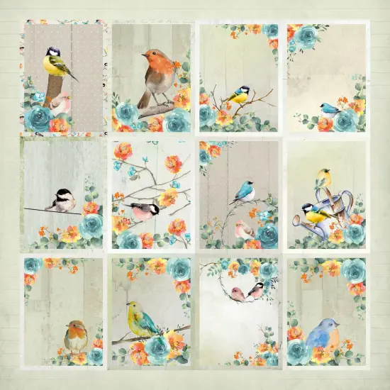 Little Birdie Woodland Stories Cardstock Pack 12"X12" 12/Pkg-Woodland Stories {7}