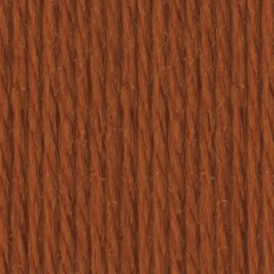 Multipack of 24 - Lion Brand Vanna's Choice Yarn-Rust {3}