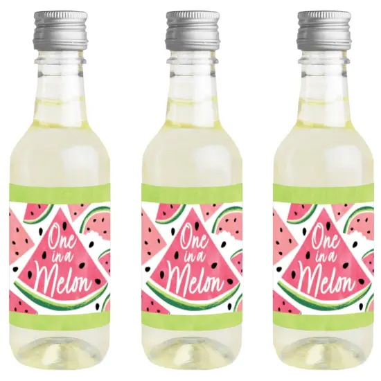 Big Dot of Happiness Sweet Watermelon - Mini Wine and Champagne Bottle Label Stickers - Fruit Party Favor Gift for Women and Men - Set of 16 {1}