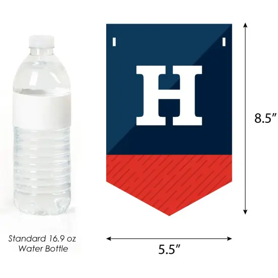 Big Dot of Happiness Boy 16th Birthday - Sweet Sixteen Birthday Party Bunting Banner - Birthday Party Decorations - Happy Birthday {4}